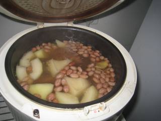 Green Papaya Peanut Pork Bone Soup recipe