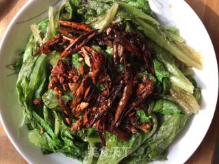 Lettuce in Oil recipe