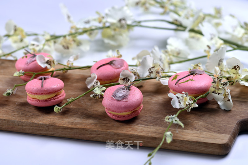 Sakura Macaron Depp Baking Lab recipe