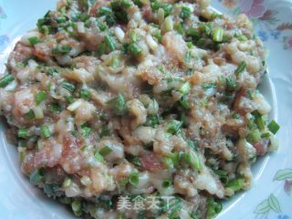 Scallion Meat Dumplings recipe