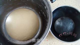 Panda Bread-hot Seed recipe