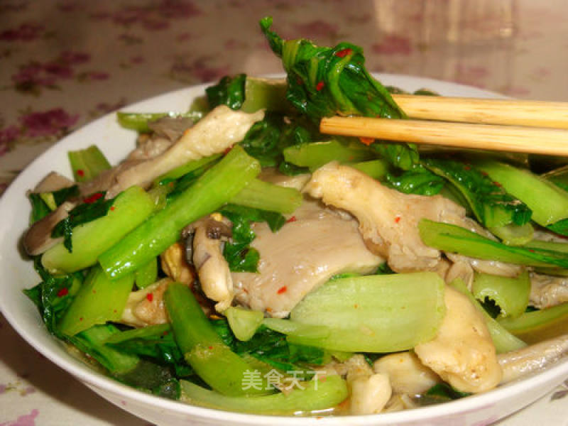 Rapeseed Pleurotus Ostreatus recipe