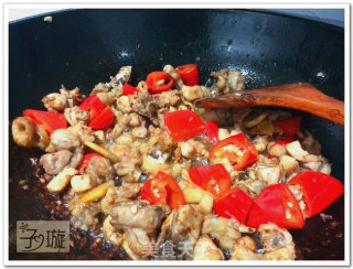 Braised Chicken with Potatoes【zixuan】 recipe