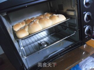 Wheat Bread recipe