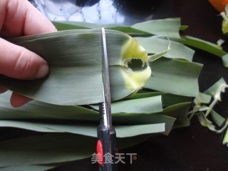 【red Date Zongzi】——the Familiar Taste recipe