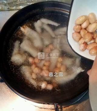 Peanut and Chicken Feet Soup recipe