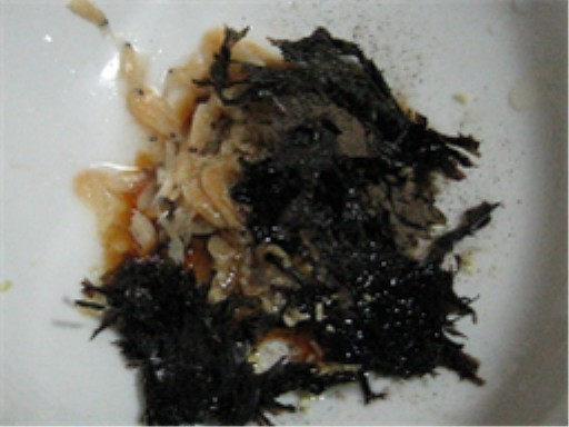 Dried Seaweed Wonton recipe