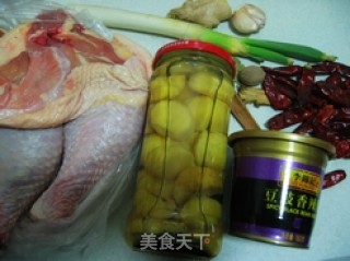 Good Luck and Good Fortune - Spicy Braised Chestnut Chicken recipe