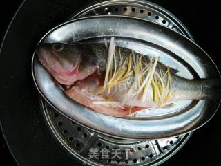 [guangdong] Cantonese Style Steamed Fish recipe