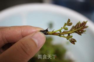 Stir-fried Beef with Pepper Sprouts recipe