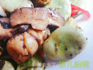 Fresh Squid, Shiitake Mushrooms and Green Broad Beans──private Dishes in Yuer's Kitchen recipe