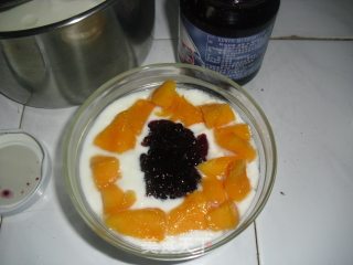 Blueberry Mango Yogurt recipe