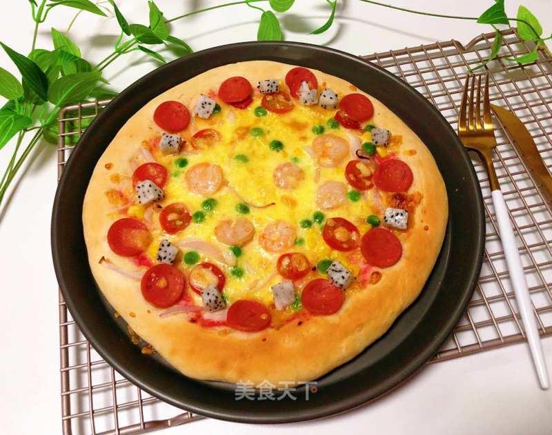 Baby Nutrition Meal-colorful Pizza