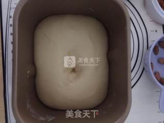 Cat Meat Floss Squeeze Bag recipe