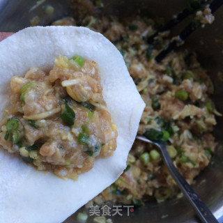 Scallion Fried Pork Buns recipe