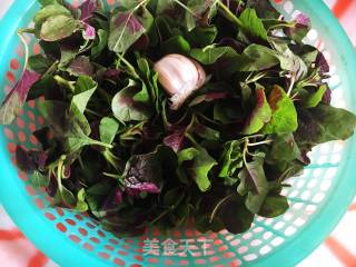 Stir-fried Amaranth with Garlic recipe
