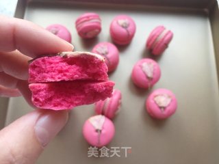 French Sakura Macaron recipe