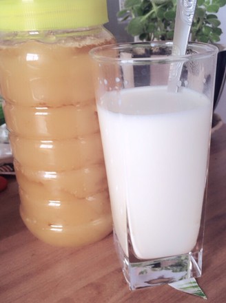 Honey Milk recipe