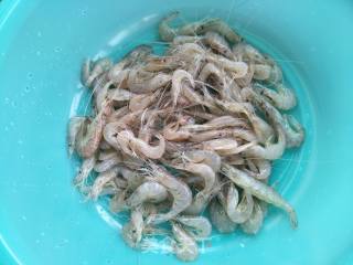 Fried Small River Prawns recipe