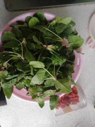 Vegetarian Stir-fried Spinach recipe