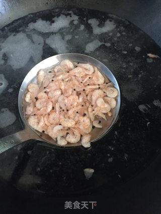 Antarctic Krill Salad recipe