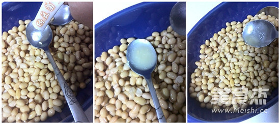 Homemade Natto recipe