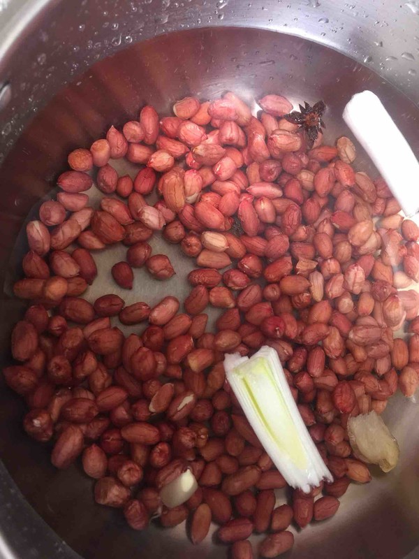 Toon Mixed with Peanuts recipe
