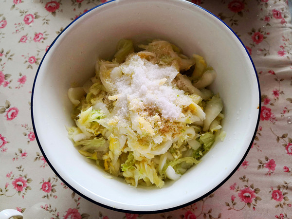 Mixed Fresh Cabbage recipe