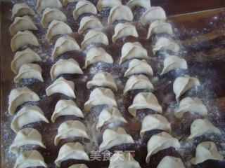 Fried Vegetarian Dumplings recipe