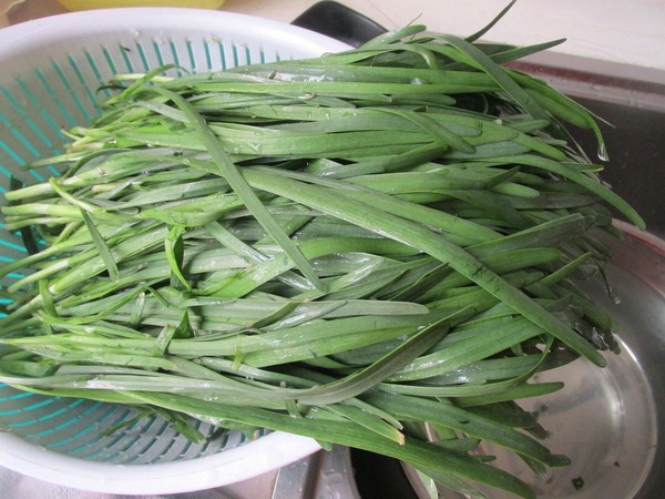 Leek and Egg Dumplings recipe