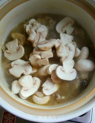 Stewed Chicken with Straw Mushrooms recipe
