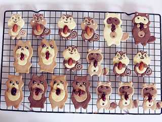 Cute Animal Biscuit Group recipe