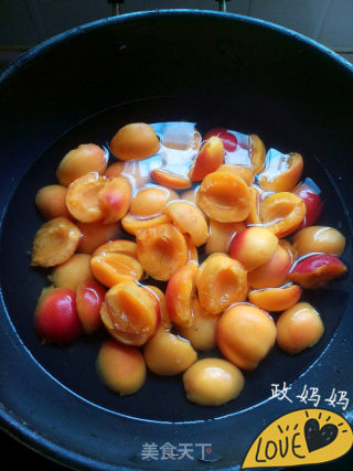 【shandong】apricots in Syrup recipe