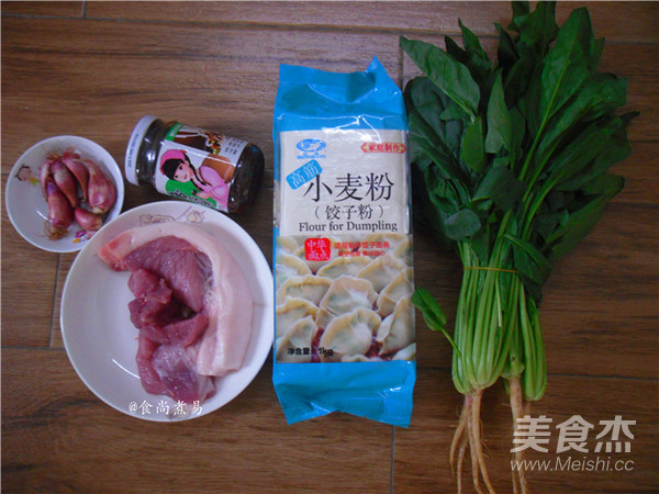 Dumplings with Spinach and Pork Sauce recipe