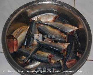 Saury in Tomato Sauce recipe