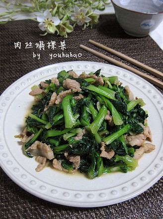 Shredded Pork recipe