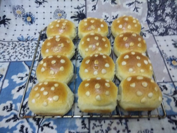 Peanut Meal Buns recipe