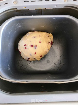 Medium Cranberry Toast recipe