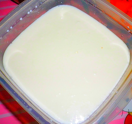 Large Fruit Yogurt recipe