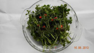 Portulaca Oleracea recipe