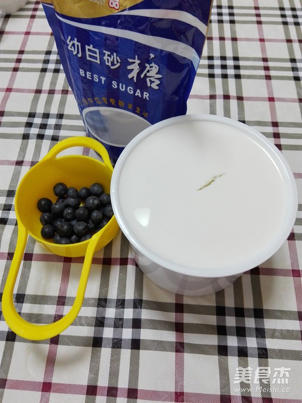 Blueberry Yogurt Ice Cream recipe