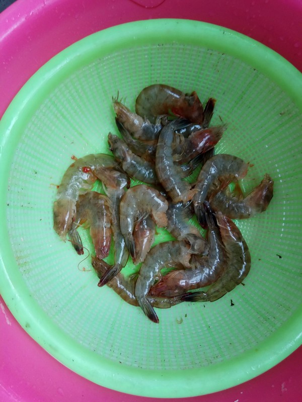 Boiled Shrimp recipe