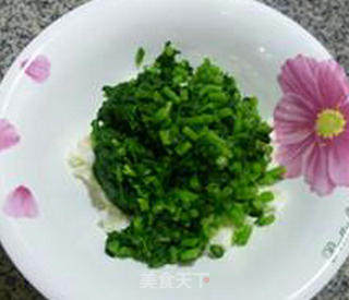 Chrysanthemum Mixed Protein recipe