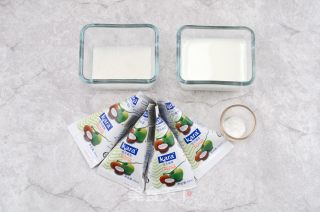 Coconut Yogurt recipe