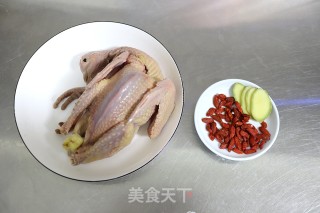 Stewed Old Pigeon Soup recipe