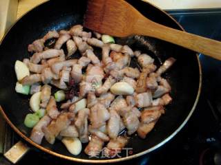 Braised Pork on Rice recipe