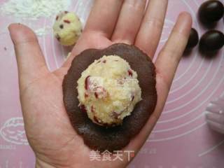 #新良首第届烤大赛# Sweet Chocolate Coconut Cranberry Mooncakes recipe