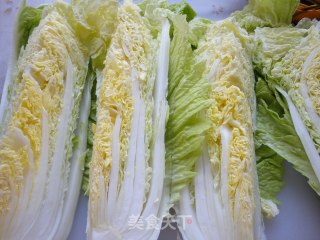 Learn to Make Authentic "korean Spicy Cabbage" recipe