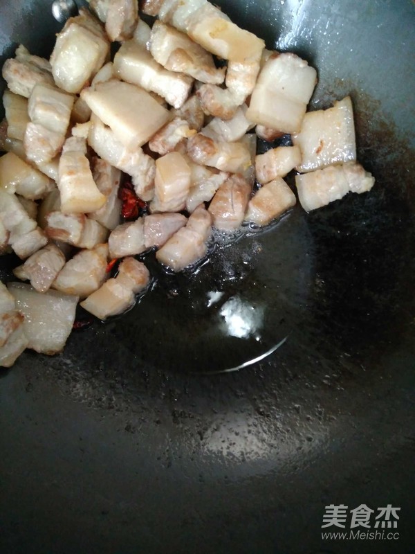 Braised Pork with Tangerine Peel recipe