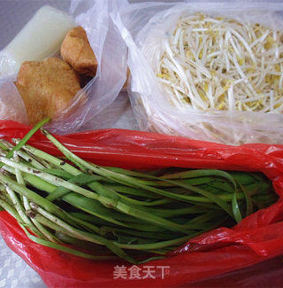 Mung Bean Sprouts Pot Stickers recipe